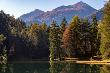 Amazing landscape with a sea near to wood in front of mountains in autumn