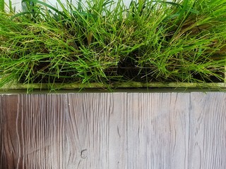 green grass and wood floor