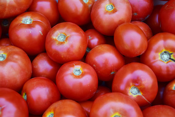 Tomatoes background 