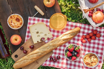 Picknick-Essen und Roséwein auf grünem Gras mit Exemplar