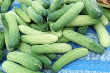 cucumber at street food