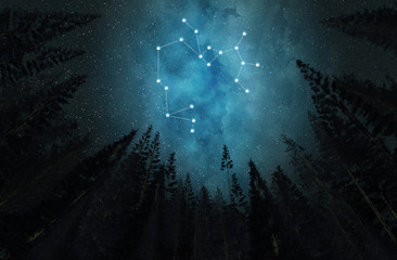 Constellation Sagittarius. Night sky. Stars. Horoscope.