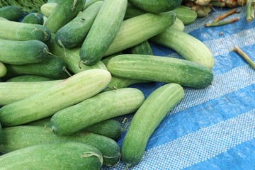 cucumber at street food