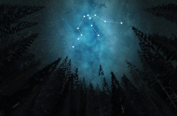 Constellation Aquarius. Night sky. Stars. Horoscope.