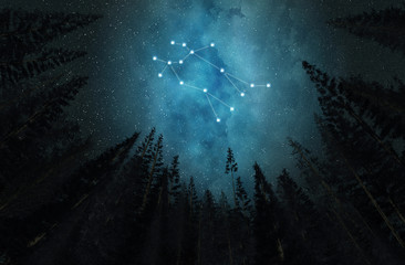 Constellation Gemini. Night sky. Stars. Horoscope..