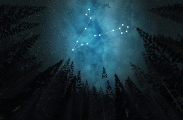 Constellation Pisces. Night sky. Stars. Horoscope. © Voloshyn Roman