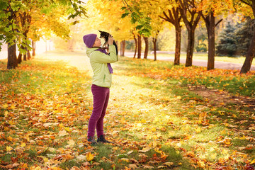 baby girl in autumn leaves in the Park in the fresh air.girl playing with a small dog outdoors in...