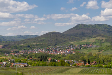 Fototapeta na wymiar Blick auf das Weindorf Albersweiler