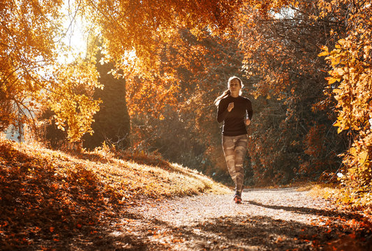 A young woman make yoga position at sunrise. in the autumn forest.
