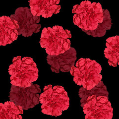 Beautiful floral background of carnations