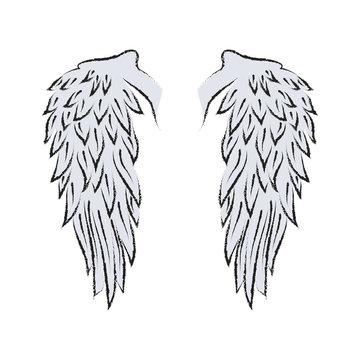 Wing. Pair of spread out eagle bird or angel wings