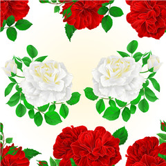 Seamless texture bunch Three red and white roses with  buds vintage editable festive background vector illustration hand draw