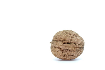 Una noce isolata su sfondo bianco 