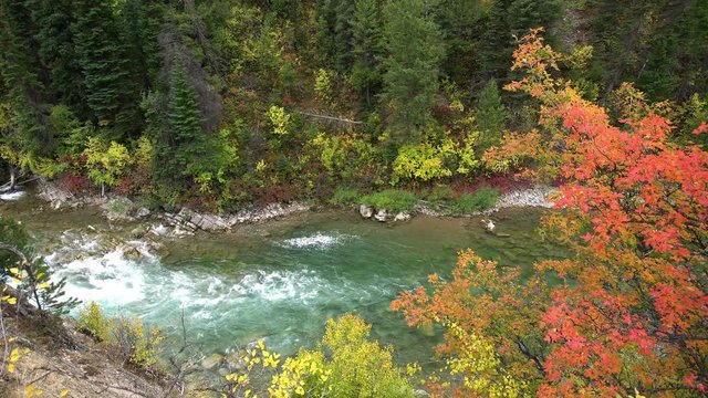 Grey's River flowing along riverbank decorated in colorful fall foliage