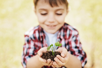 Portrait of smiling boy that looking at seedling