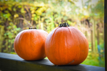 two orange pumpkins