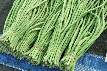Long bean at market