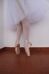 Ballet dancer's legs with pointe shoes