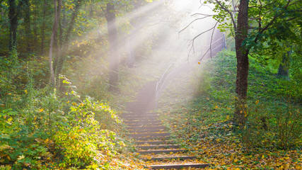 Treppe mit Sonnenstrahlen durch Nebel an einem Herbstmorgen