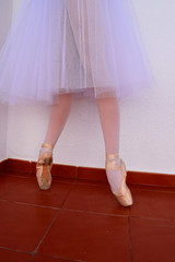 Ballet dancer's legs with pointe shoes