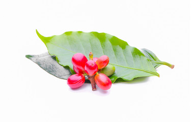 Red coffee beans with green leaves isolated on white background.
