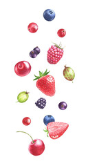 Hand drawn watercolor illustration of the different flying berries: Blueberry, blackberry, raspberry, strawberry, gooseberry isolated on the white background.