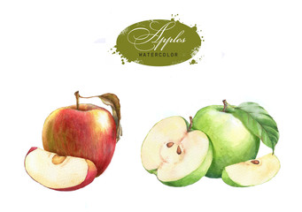 Tasty red and green watercolor apples. Hand drawn illustration of the isolated red and green apples on the white background. Autumn fruits harvest clip art for package design