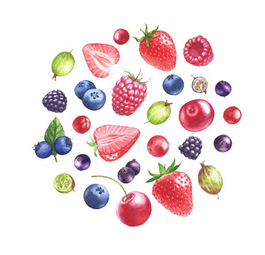 Hand drawn watercolor illustration of the different berries: Blueberry, blackberry, raspberry
strawberry, gooseberry isolated on the white background. Berries mix