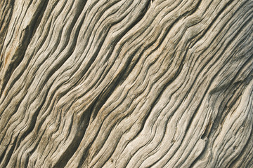 Wood Texture With Natural Pattern. closeup of wood texture