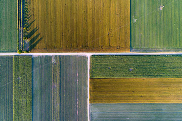Top view of agricultural parcels