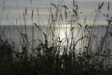 Fototapeta premium Sunset at sea
