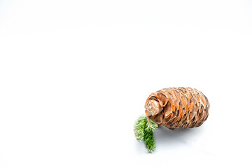 pine cones and spruce twigs for the new year and Christmas