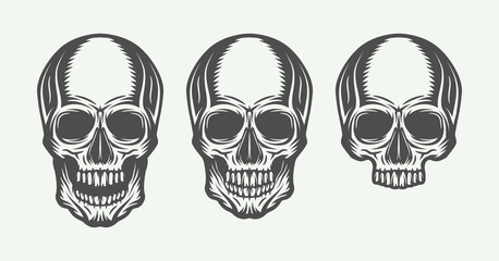 Set of vintage retso skulls. Can be used for logo, emblem, badge, label, poster, print. Vector Illustration. Monochrome graphic art.