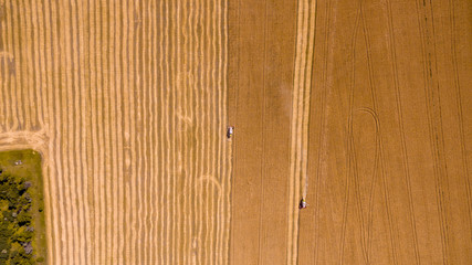 Harvesting corn in autumn Aerial top view. Harvester machine working in field . Combine harvester agriculture machine harvesting golden ripe wheat field. Agriculture. Aerial view. From above.