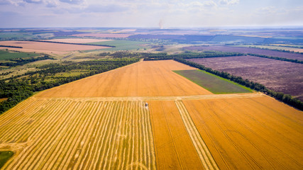 Harvesting corn in autumn Aerial top view. Harvester machine working in field . Combine harvester agriculture machine harvesting golden ripe wheat field. Agriculture. Aerial view. From above.