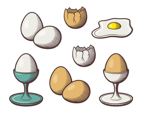 Stylized hand drawn illustration of eggs. Eggshell, eggcup, broken egg and yolk. Colored vector image set