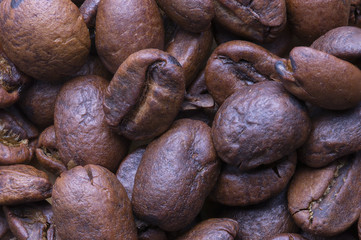 Surface of coffee beans