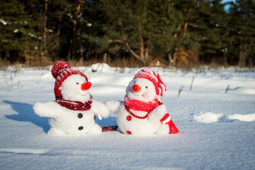 Couple of snowmen