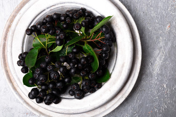 Chokeberry in silver metal bowl on grey background. Aronia berry with leaf. Top view. Copy space.