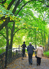 Obraz premium Senior couple enjoying walking in foggy autumn Park