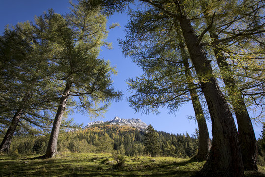 Leobner Mauer am Hochschwab, Steiermark,&Ouml;sterreich