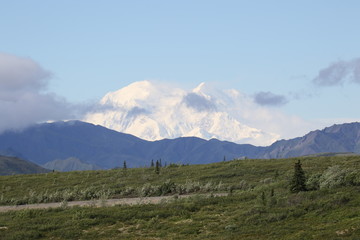Denali: The High One