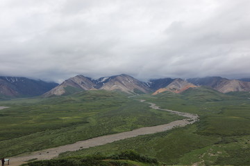 Denali Nationalpark, Alaska