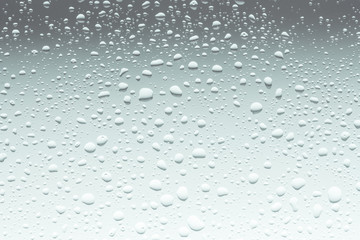 Water Drops, Close Up 