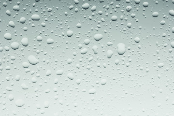 Water Drops, Close Up 