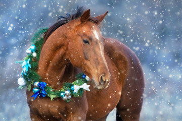 Obraz premium Czerwony koński portret w boże narodzenie dekoraci wianku
