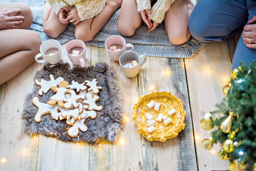 Happy family in white sweaters drinks cocoa by the panoramic window. Parents and daughters are holding cups in their hands, on a plate are gingerbread men near a small Christmas tree in pot. New year