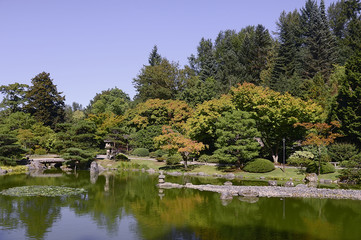 Beautiful autumn japanese garden in Seattle