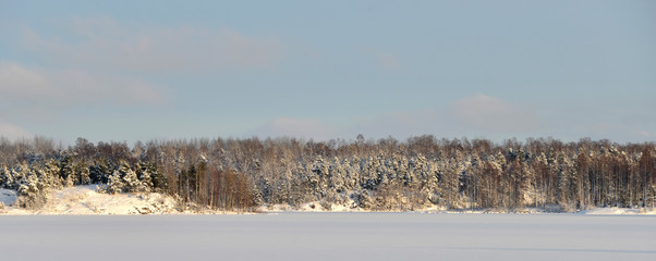 Fototapeta premium Beautiful winter landscape