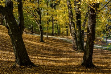 Przemyśl,park. jesień